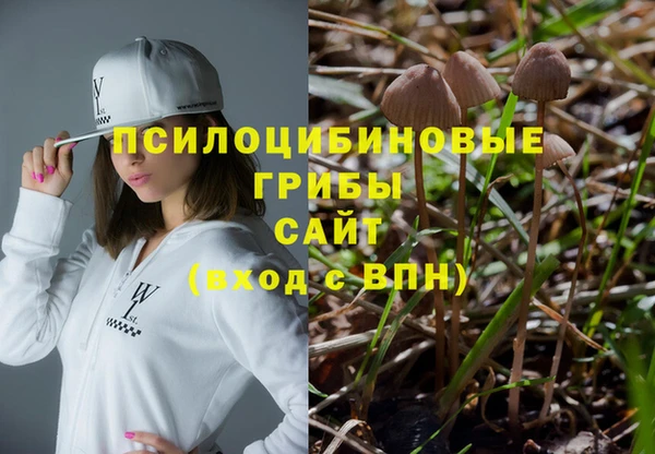 прущие грибы Арсеньев
