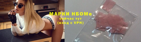 прущие грибы Арсеньев