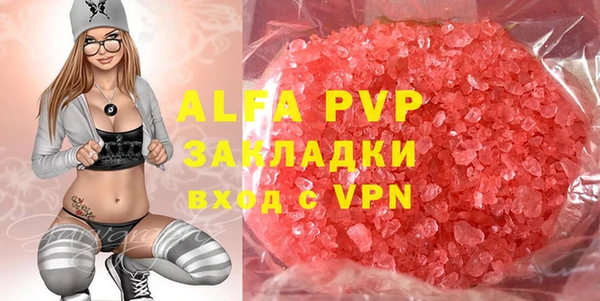 прущие грибы Арсеньев